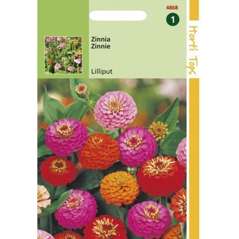 Hortitops Zaden - Zinnia Liliput/Pompon dubbelbl. gemengd