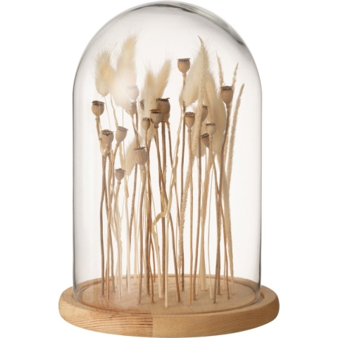 J-Line Stolp Droogbloemen Ecru/Bruin Glas Hout Small