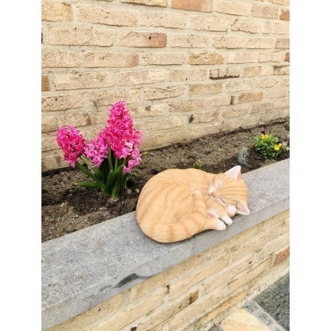 Slapende kat S1 roodharige 10 cm hoog - poes - polyester - polystone - beeld - tuinbeeld - hoogkwalitatieve kunststof - decoratiefiguur - interieur - accessoire - voor binnen - voor buiten - cadeau - geschenk
