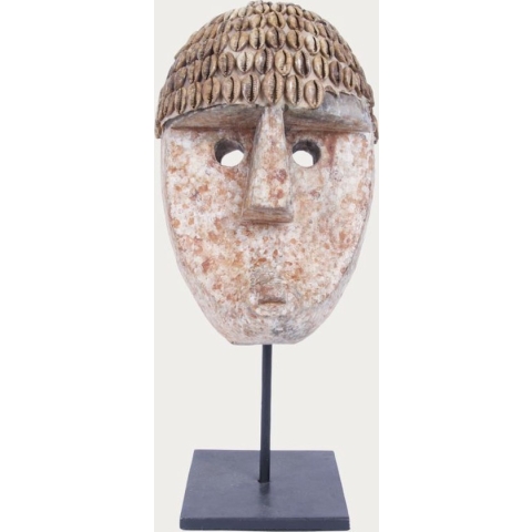 Schelpenhoofd op standaard | Schelpen | Decoratie
