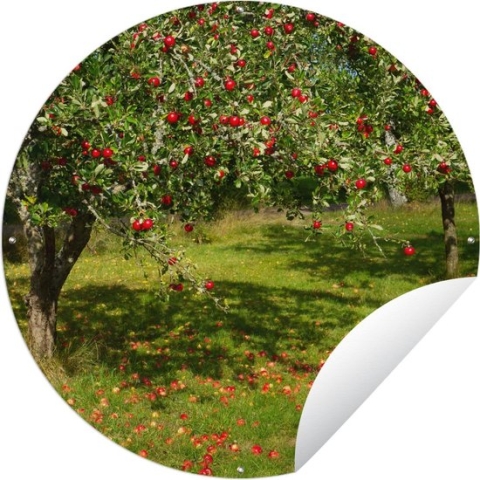 Tuincirkel Fruit - Boom - Appel - 120x120 cm - Ronde Tuinposter - Buiten XXL / Groot formaat!