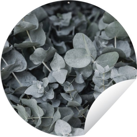 Tuincirkel Natuur - Planten - Eucalyptus - Bladeren - 120x120 cm - Ronde Tuinposter - Buiten XXL / Groot formaat!