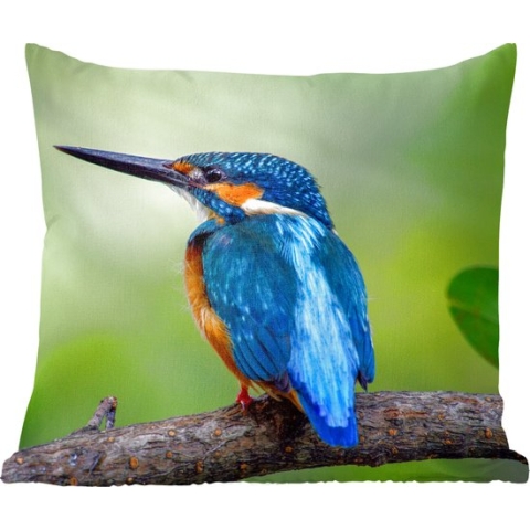 Sierkussens - Kussentjes Woonkamer - 60x60 cm - IJsvogel - Tak - Blauw