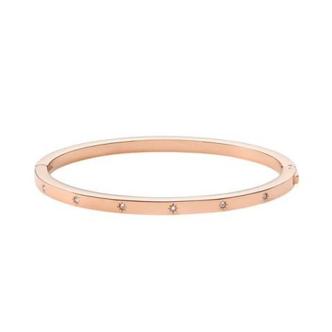 Fossil JF04394791 Damesarmband - 17,5 cm