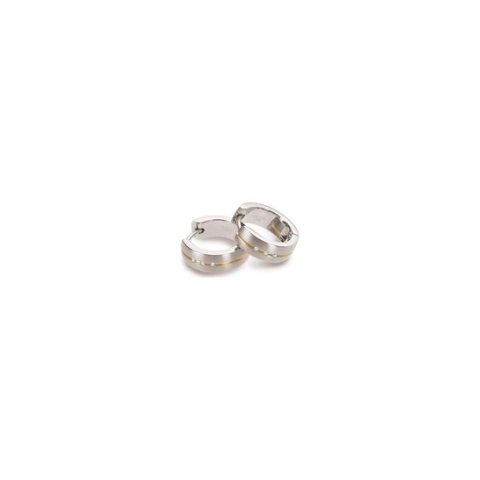 TITANIUM oorringen