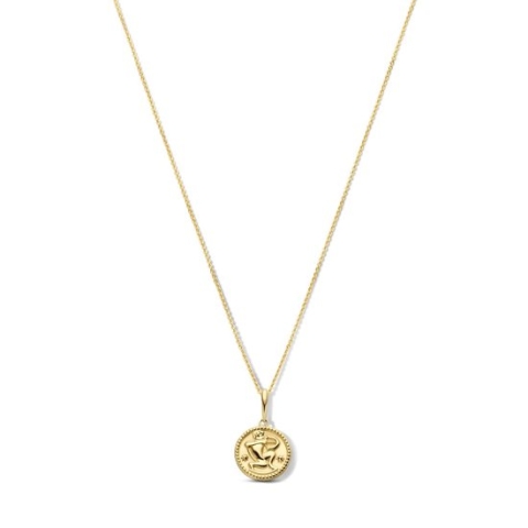 New Bling 9NBG-0291 Gouden Ketting met Sterrenbeeld - Boogschutter - 10 mm Doorsnee - Ankerschakel - 39 + 3 + 3 cm - 0,8 mm Dik - 14 Karaat - Goud