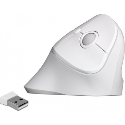 DeLOCK 12596 muis Rechtshandig RF Draadloos 1600 DPI