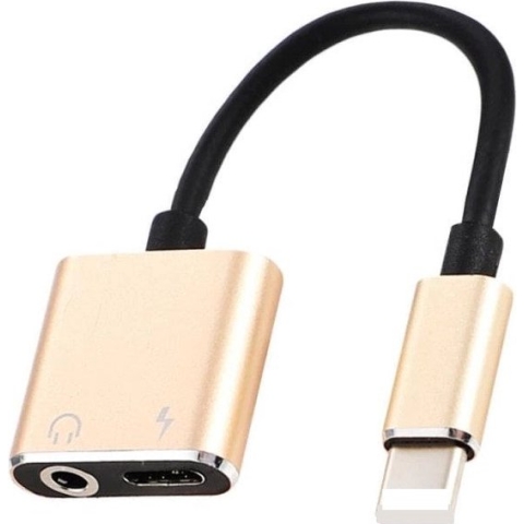 Xtabarya 2 In 1 Audio Adapter Aux aluminium Opladen Lightning Naar 3.5Mm Kabel Splitter Voor Apple Iphone Xs Max Xr X 7 8 11 12 Pro Plus Cord Splitte -Goud