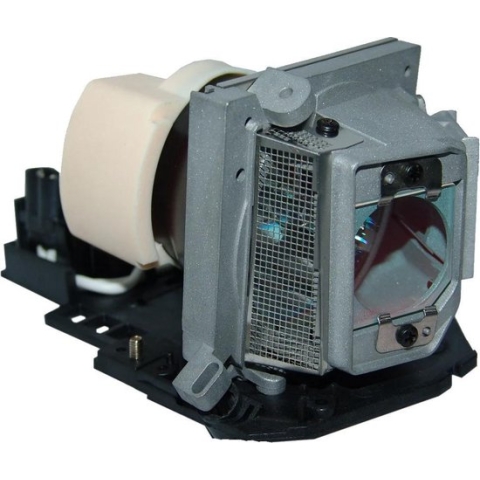 Acer EC.J6900.003 Projector Lamp (bevat originele P-VIP lamp)