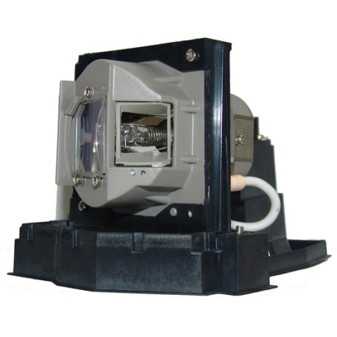InFocus SP-LAMP-041, Acer EC.J5400.001 Projector Lamp (bevat originele P-VIP lamp)