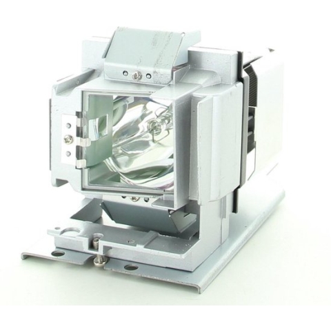 BenQ 5J.JD305.001 Projector Lamp (bevat originele P-VIP lamp)