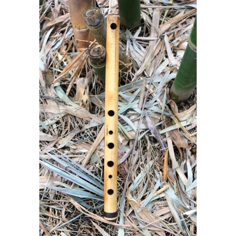 Erik the Flutemaker Vivaldi Minor Flute