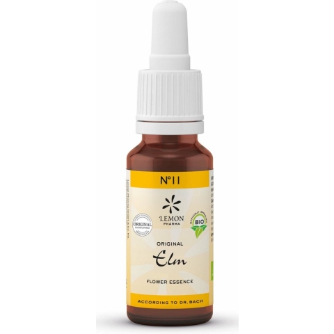 Bach NO.11 Elm