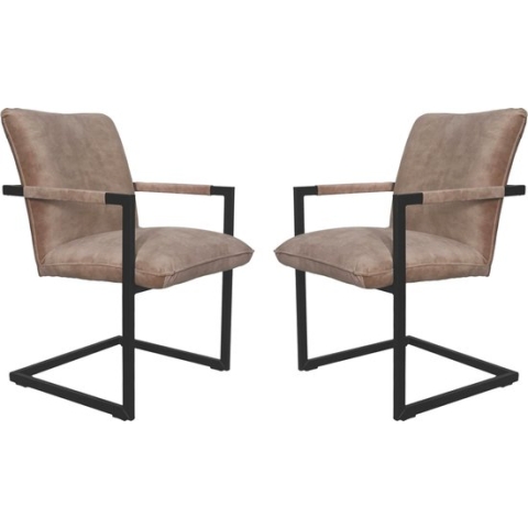 Eetkamerstoelen - Set van 2 - Eetkamerstoelen met armleuning - Eetkamerstoel - Velvet - Lever