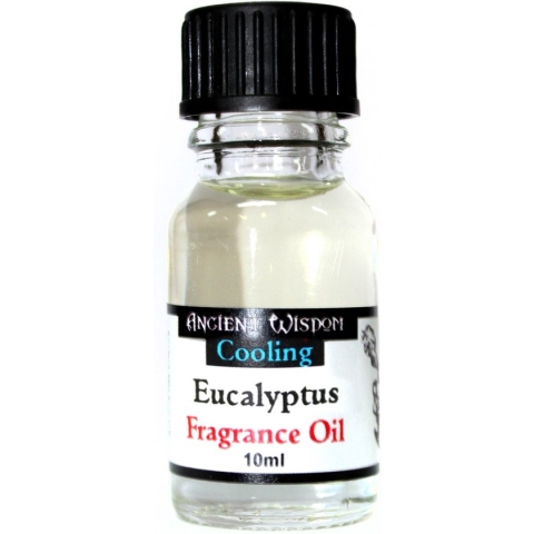 Geurolie voor Aroma Diffuser - Eucalyptus - 10ml - Geurverspreider