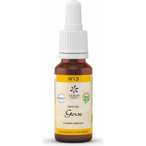 Bach NO.13 Gorse