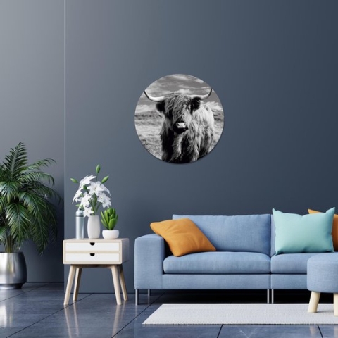 Wandcirkel Highlander | Round 100 cm | Schotse hooglander | koe wanddecoratie | alupanel/dibond