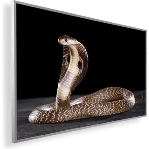 Infrarood Verwarmingspaneel 600W met fotomotief en Smart Thermostaat (5 jaar Garantie) - Cobra 84
