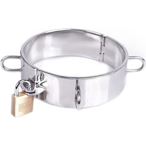 Dungeon Collar RVS