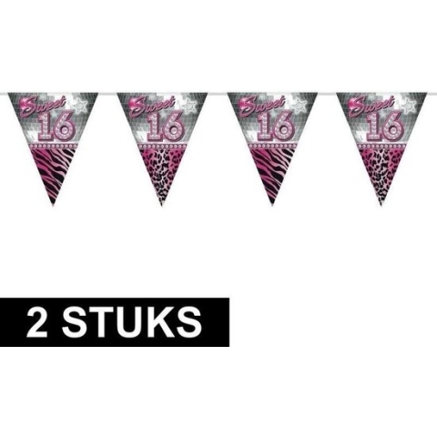 2x stuks leeftijd vlaggenlijnen sweet 16 van 10 meter