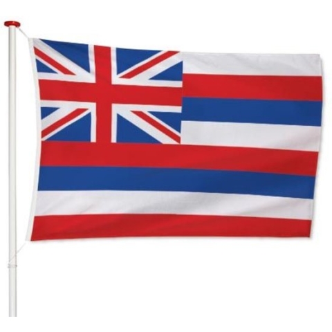 Hawaiiaanse Vlag Hawaï 150x225cm - Kwaliteitsvlag - Geschikt voor buiten