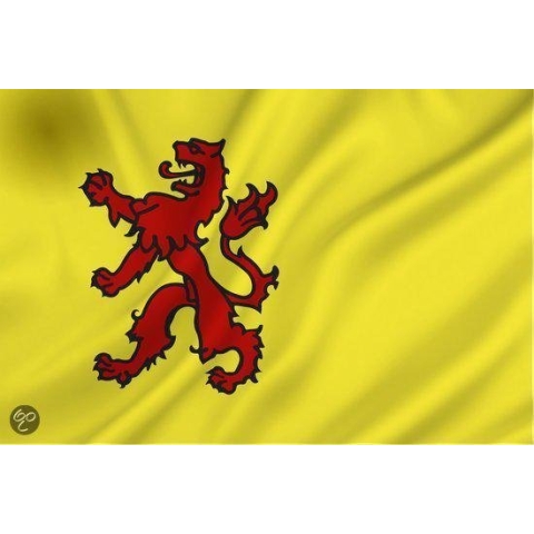 Dokkumer Vlaggen Centrale - Zuid-Hollandse vlag - 100 x 150 cm