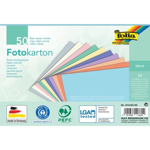 Fotokarton Folia pastel din A4 ass