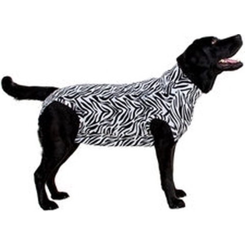 Medical Pet Shirt Hond Zebra Print - XS