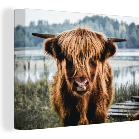 Canvas - Schotse hooglander - Dieren - Koe - Natuur - Water - Wanddecoratie - Schilderijen op canvas - Schilderijen woonkamer - 120x90 cm
