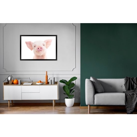 Fotolijst incl. Poster - Varken - Roze - Dieren - Natuur - 120x80 cm - Posterlijst