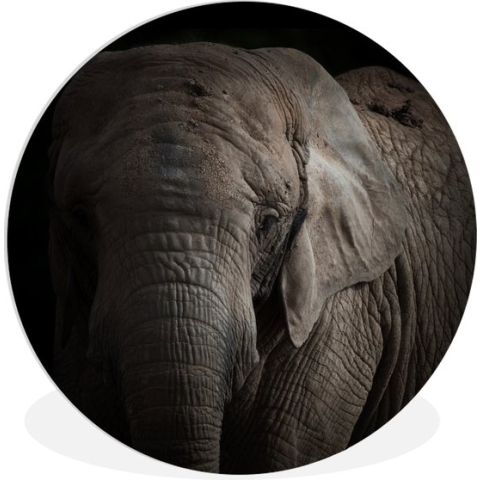 WallCircle - Wandcirkel - Muurcirkel Binnen - Olifant - Portret - Dieren - Zwart - 140x140 cm - Wanddecoratie - Ronde Schilderijen
