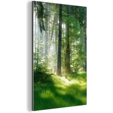 Wanddecoratie Metaal - Aluminium Schilderij Industrieel - Natuur - Bomen - Bos - Groen - Zon - Gras - Planten - 80x120 cm - Dibond - Foto op aluminium - Industriële muurdecoratie - Voor de woonkamer/slaapkamer