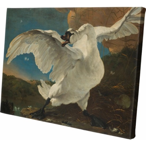 De bedreigde zwaan | Jan Asselijn   | 90 CM x 60 CM | Canvas | Foto op canvas | Oude Meesters