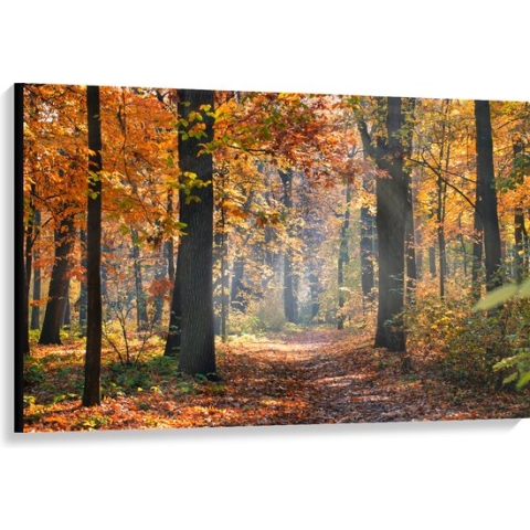 Canvas - Bos met Oranje Blaadjes in de Herfst - 120x80 cm Foto op Canvas Schilderij (Wanddecoratie op Canvas)