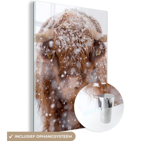 MuchoWow® Glasschilderij - Schotse Hooglander - Horens - Sneeuw - 90x120 cm - Acrylglas Schilderijen - Foto op Glas