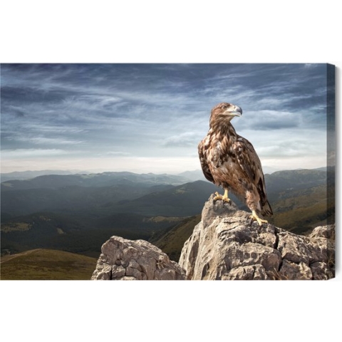 Schilderijkoning - Canvas Schilderij Adelaar Op De Top Van De Berg - 100 x 70 cm