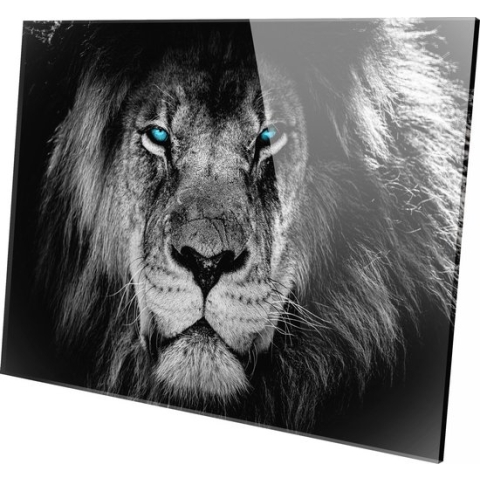 Top Media Groep - Schilderij - Leeuw Blauwe Ogen Leeuw Lion Natuur - Zwart En Wit - 80 X 120 Cm