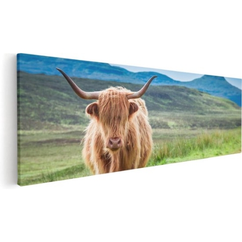 Artaza Canvas Schilderij Schotse Hooglander In De Wei - Kleur - 120x40 - Groot - Foto Op Canvas - Canvas Print