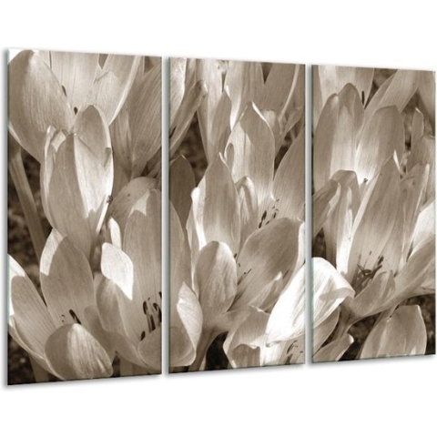 GroepArt - Schilderij -  Bloemen, Krokus - Sepia - 120x80cm 3Luik - 6000+ Schilderijen 0p Canvas Art Collectie