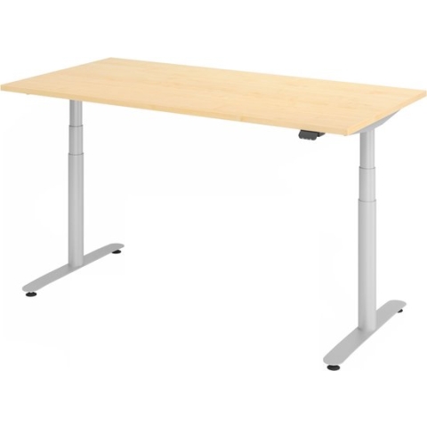 XDLR 16 S | 160x80 | Bureau elektrisch in hoogte verstelbaar - Esdoorn 160 x 80 Tafelhoogte I Elektrisch in hoogte verstelbaar
