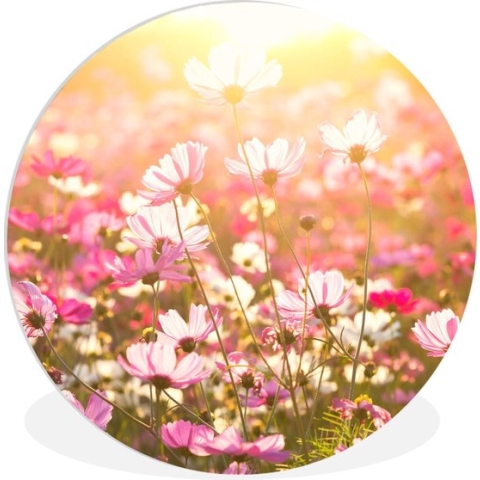 WallCircle - Wandcirkel - Muurcirkel Binnen - Zonsondergang - Bloemen - Roze - 90x90 cm - Wanddecoratie - Ronde Schilderijen