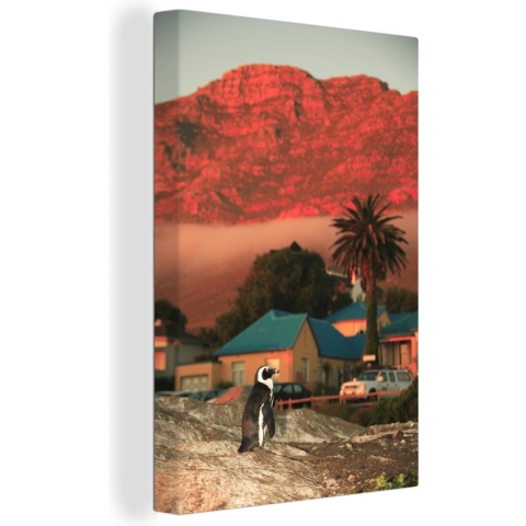 Canvas Schilderij Pinguïn op de rotsen van Boulders Beach bij zonsondergang - 80x120 cm - Wanddecoratie
