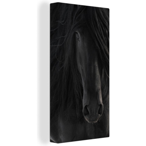 Canvas Schilderij Paard - Fries - Portret - 80x160 cm - Wanddecoratie