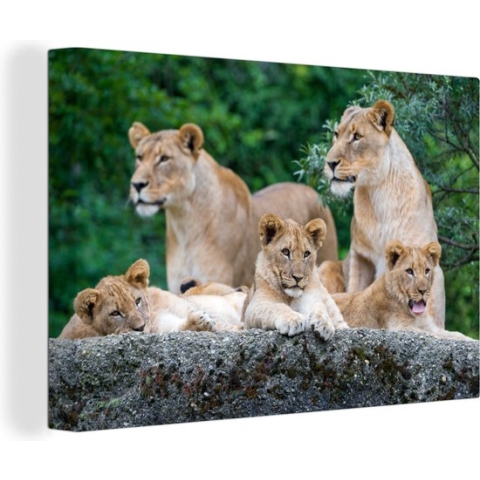 Canvas Schilderij Leeuwen - Dieren - Welpen - 120x80 cm - Wanddecoratie
