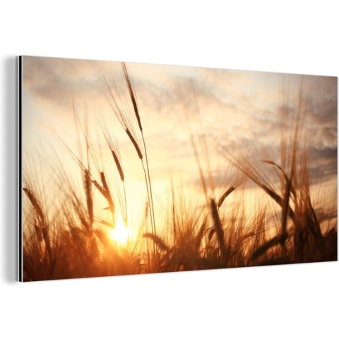 Wanddecoratie Metaal - Aluminium Schilderij Industrieel - Riet - Gras - Zonsondergang - Natuur - Horizon - 120x60 cm - Dibond - Foto op aluminium - Industriële muurdecoratie - Voor de woonkamer/slaapkamer