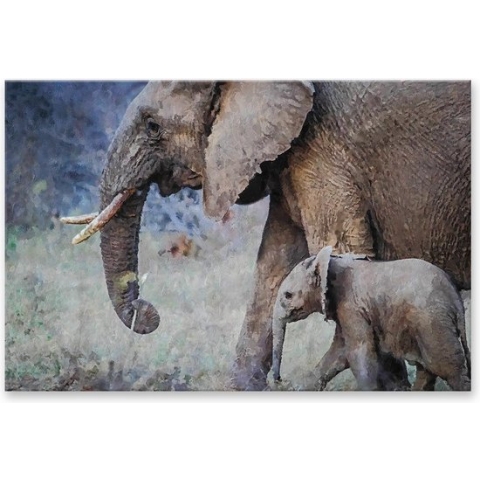 Graphic Message - Schilderij op Canvas - Olifant met Jong - Olifanten - Woonkamer - Wildlife Kunst