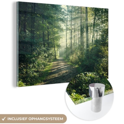 MuchoWow® Glasschilderij - Bos - Pad - Zon - Bomen - Groen - Natuur - 90x60 cm - Acrylglas Schilderijen - Foto op Glas