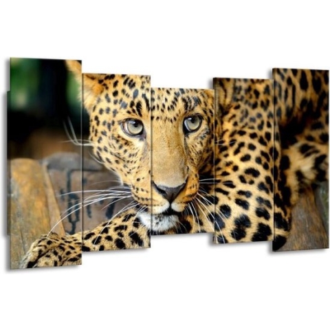 GroepArt - Canvas Schilderij - Luipaard - Bruin, Zwart - 150x80cm 5Luik- Groot Collectie Schilderijen Op Canvas En Wanddecoraties