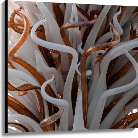 Canvas - Abstracte Bruine en Witte Kronkels - 100x100 cm Foto op Canvas Schilderij (Wanddecoratie op Canvas)