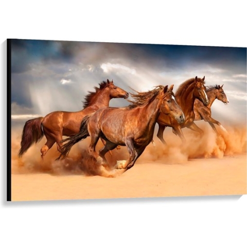 Canvas  - Bruine Paarden Rennend door de Duinen - 120x80cm Foto op Canvas Schilderij (Wanddecoratie op Canvas)